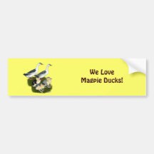 Blue Magpie Duck Family Bumper Stickers