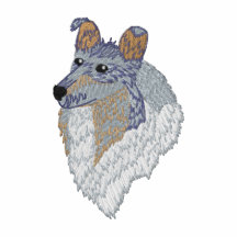 Blue Merle Collie