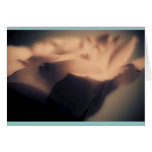 Blue Moon Rose, photography, Cards Notecards