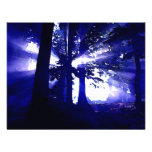 Blue Night Trees Invites