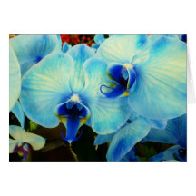 Blue Orchids Cards