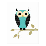 Blue Owl On Limb Post Card