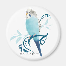 Blue Parakeet Fridge Magnets