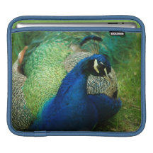 Blue Peacock iPad Sleeve