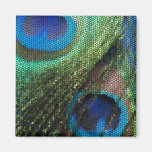 Blue Peacock Stained Glass Magnets