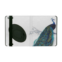 Blue Peacock with beautiful tail feathers