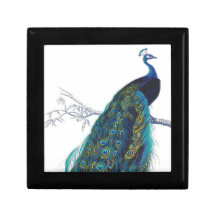 Blue Peacock with beautiful tail feathers Jewelry Box
