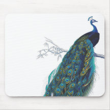 Blue Peacock with beautiful tail feathers Mousemat
