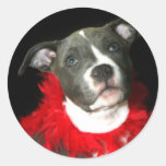 Blue Pitbull Puppy stickers