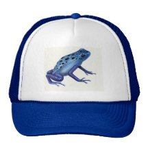 Blue Poison Dart Frog Hat