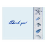 blue seashells and starfish thank you card postcards