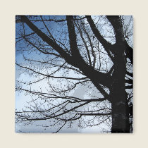 Blue Skies & Alder Tree Fractal magnets