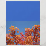 Blue Sky Flyers Mailing Brochures Autumn Leaves