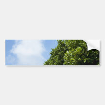 Blue sky with white cloud and green foliage bumper stickers