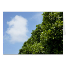 Blue sky with white cloud and green foliage greeting card