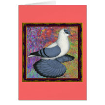 Blue Swallow Pigeon Framed Greeting Cards