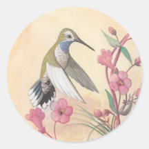 Blue-Throated Hummingbird Round Sticker