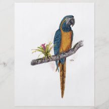 Blue Throated Macaw Personalized Flyer