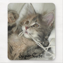 Blue tortie kitten mouse mat