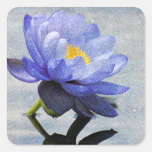 Blue Waterlily square sticker