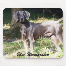 Blue Weimaraner Mouse Mat