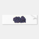 blue wine grape bumper sticker