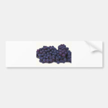 blue wine grape bumper sticker