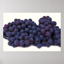 blue wine grape posters
