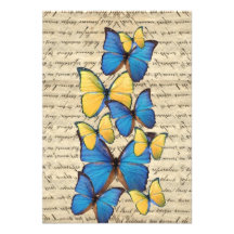 Blue & yellow butterrflies announcements
