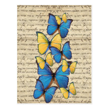 Blue & yellow butterrflies post cards