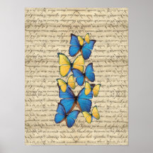 Blue & yellow butterrflies print