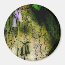 Bluebell Shadow Refrigerator Magnet