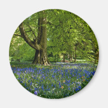 Bluebell Spring Refrigerator Magnet