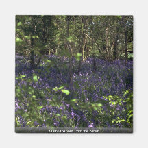 Bluebell Woods from the Forest Fridge Magnets