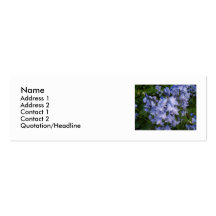 Bluebells Business Cards