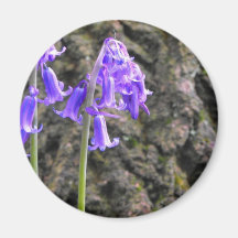 Bluebells Fridge Magnet
