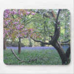Bluebells in Phillipshill Wood in Buckinghamshire Mouse Mat