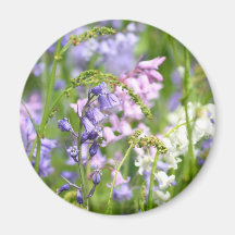 Bluebells meadow refrigerator magnets