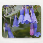 Bluebells Mousepads