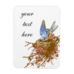 Bluebird in Spring Nest Flexible Magnets