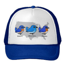 Bluebird Map Trucker Hat