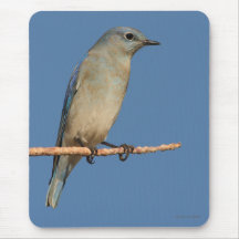 bluebird mouse mat
