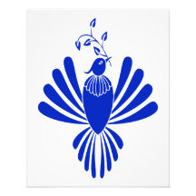 Bluebird Photo