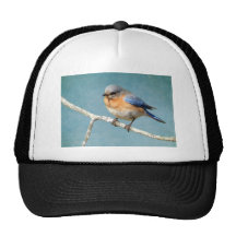 Bluebird truckers hat
