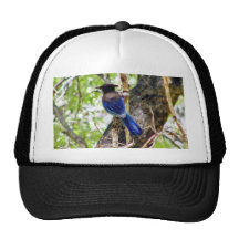Bluebirds 3 trucker hat