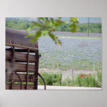 Bluebonnet Field Posters