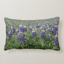 Bluebonnets Decorator Pillow