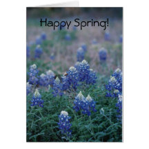 Bluebonnets, Happy Spring! Cards