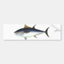 Bluefin Tuna illustration Bumper Sticker
