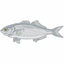 Bluefish embroidered shirts